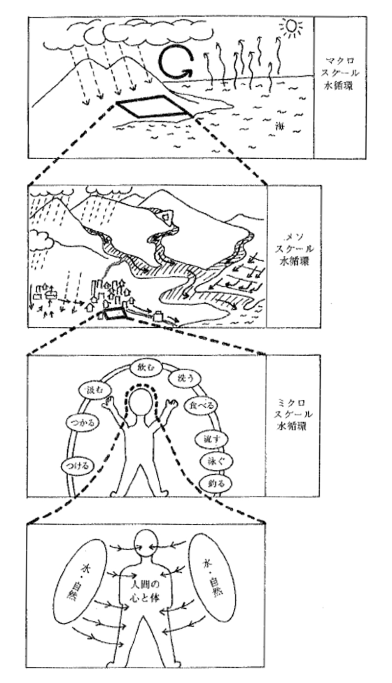 水循環の様々なパターン