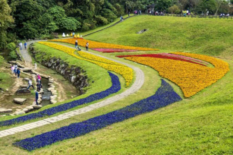 写真1　親水せせらぎ水路とお花畑